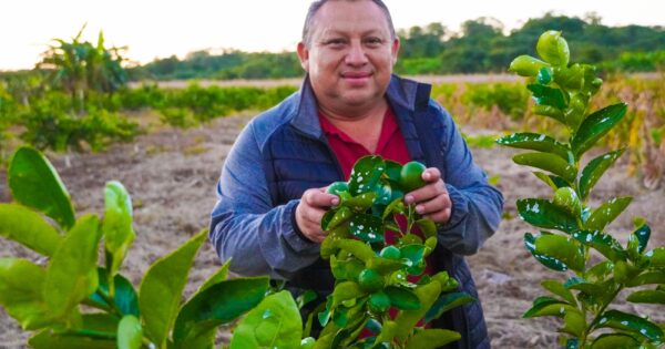 José María Morelos refuerza al sector agrícola con nuevos proyectos y apoyos