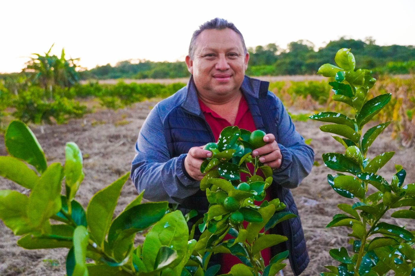 José María Morelos refuerza al sector agrícola con nuevos proyectos y apoyos