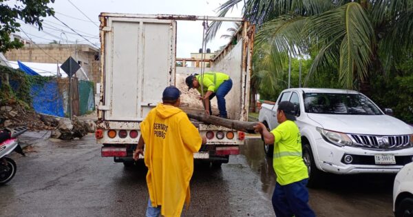 Continúa programa de descacharrización en Isla Mujeres tras festividades