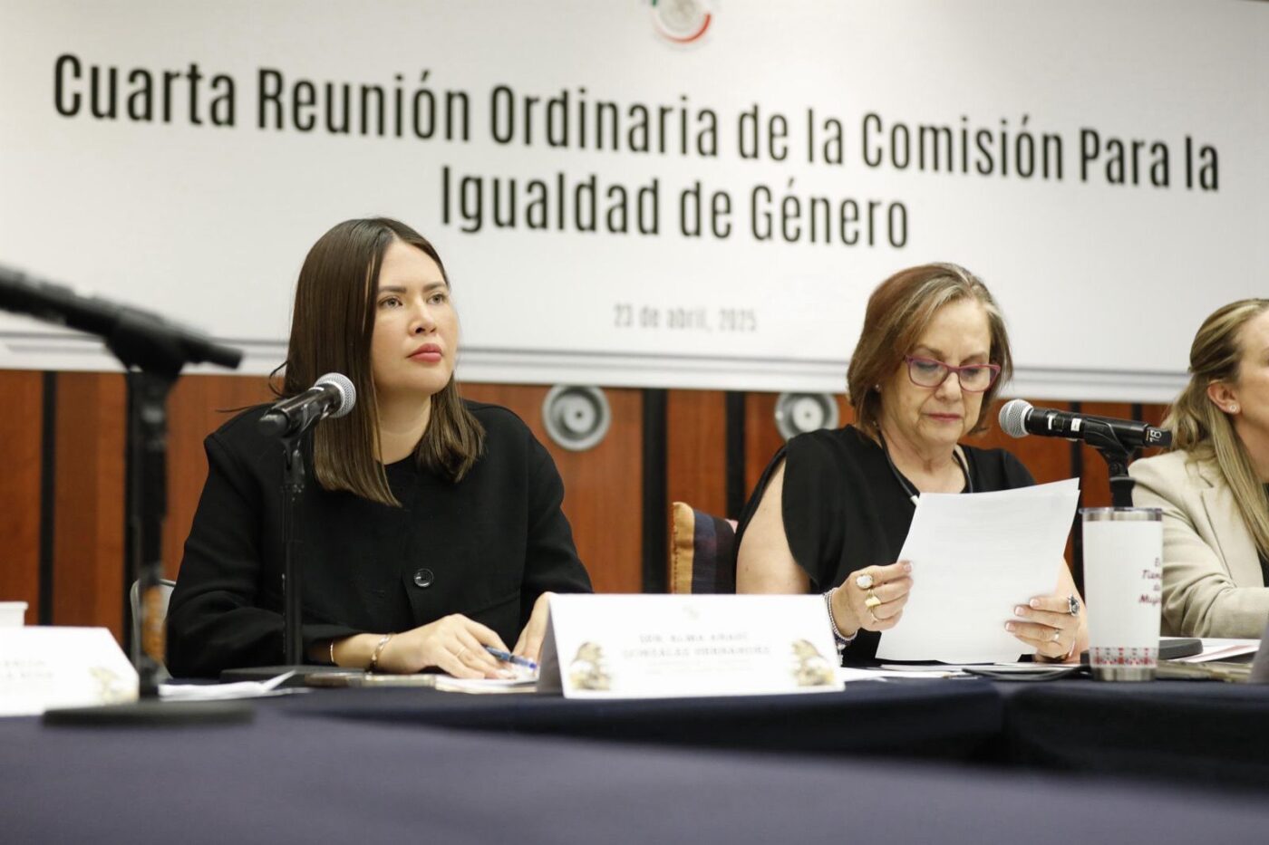 Impulsan acciones afirmativas en igualdad género para todo México