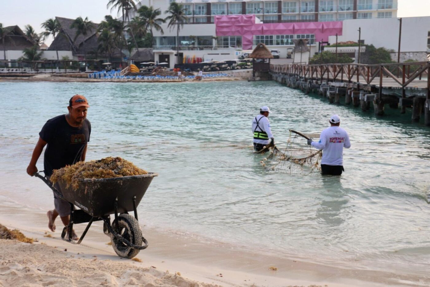 Isla Mujeres a𝘁𝗶𝗲𝗻𝗱𝗲 𝗼𝗽𝗼𝗿𝘁𝘂𝗻𝗮𝗺𝗲𝗻𝘁𝗲 𝗲𝗹 𝗮𝗿𝗿𝗶𝗯𝗼 𝗱𝗲 𝘀𝗮𝗿𝗴𝗮𝘇𝗼