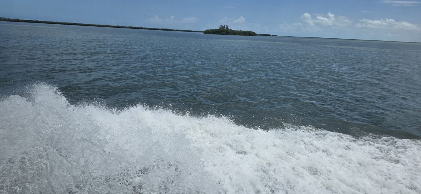 Holbox donde la espuma deja su huella eterna